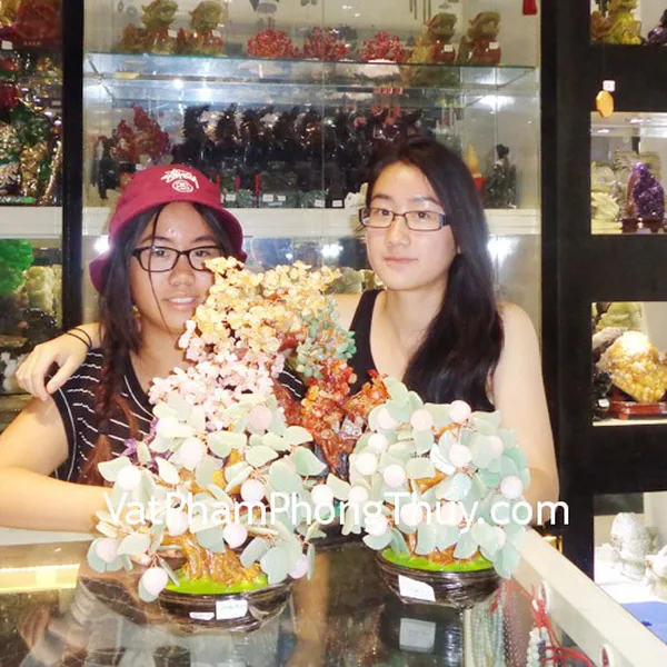 Chị em Chị Trân - khách hàng mua Cây đào tiên thạch anh HCA270, Cây thạch anh 6 màu HCA257