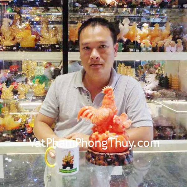 Anh Thành - khách hàng mua Gia đình gà ngọc màu vàng trên đá G021A
