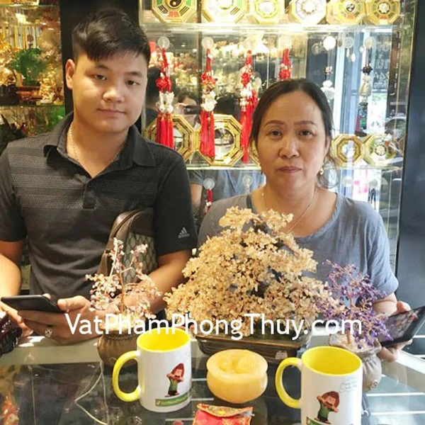 Cô Tân- khách hàng mua chuỗi Ruby đỏ A+++ Nam Mỹ S6248-S2-20412, cây tài lộc pháo hoa thạch anh vàng KC068, bồn nguyên bảo Hoàng Long GM073