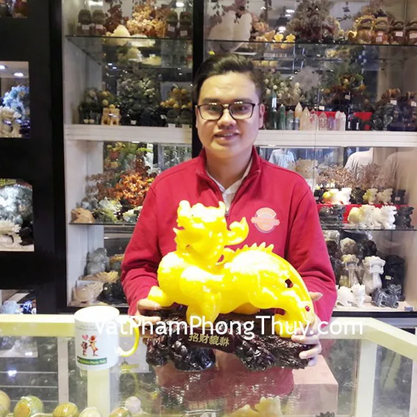 Anh Sơn - khách hàng mua Tỳ hưu vàng C043A