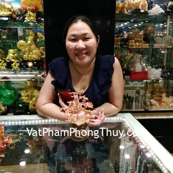 Chị Ánh - Khách hàng mua Cây tài lộc túi tiền mã não đỏ KC097