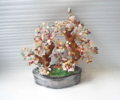 Cây tài lộc nhiều màu vừa (2 thân) KC005