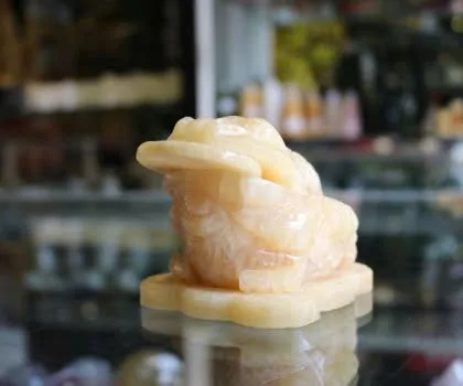 Thiềm thừ Hoàng long nhỏ GM022