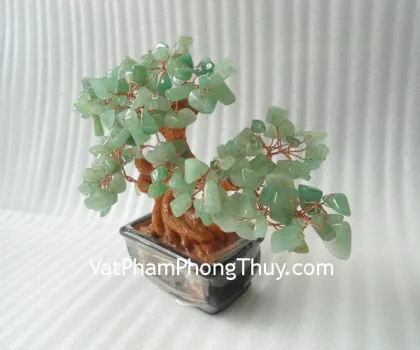 Cây đá ngọc đông linh, chậu vuông nhỏ CA215