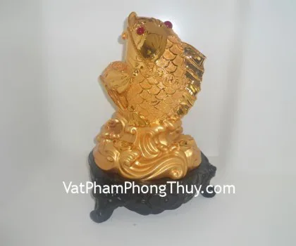 Cá đại dư đại lợi vàng Y158