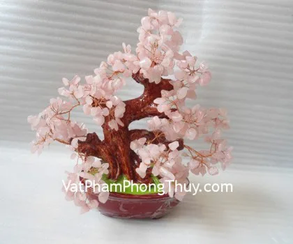 Cây thạch anh hồng trung HCA266
