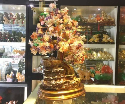 Cây phong thủy luân nhiều màu lớn KC063