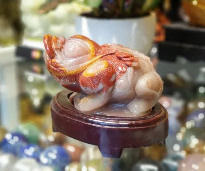 Thiềm thừ đồng nhỏ D114