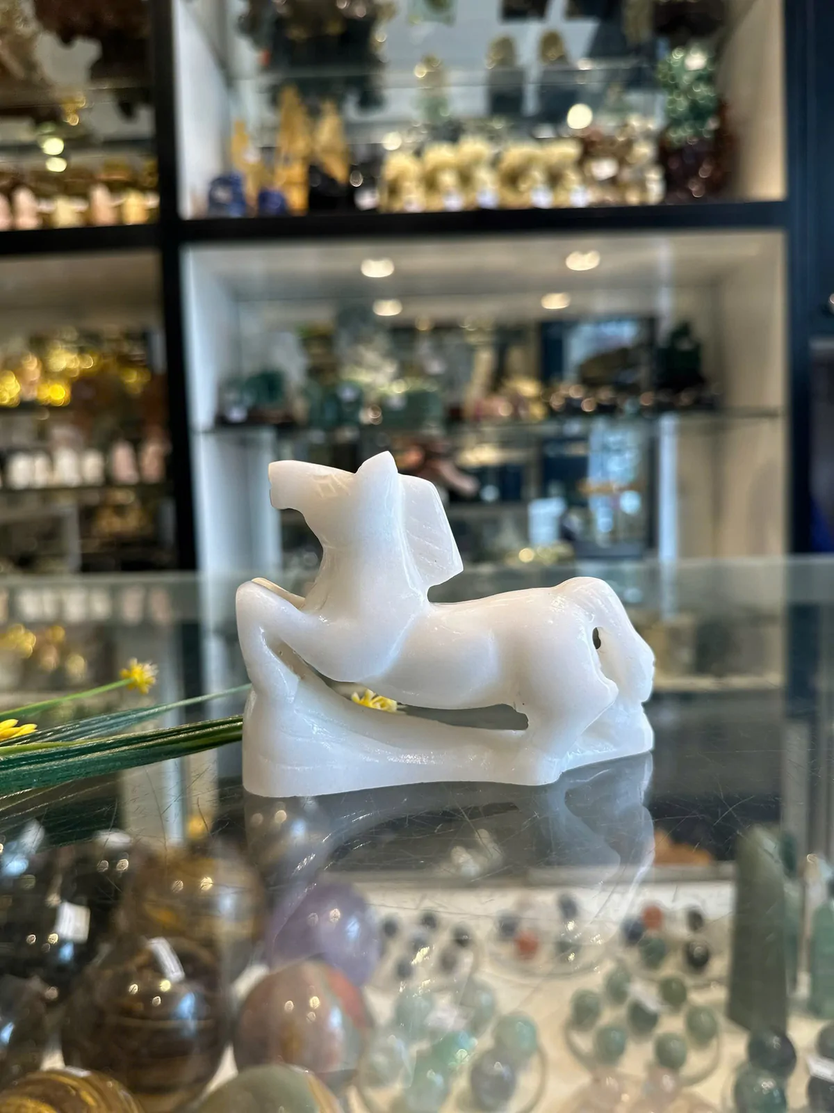 Bạch mã phi nhỏ HM115