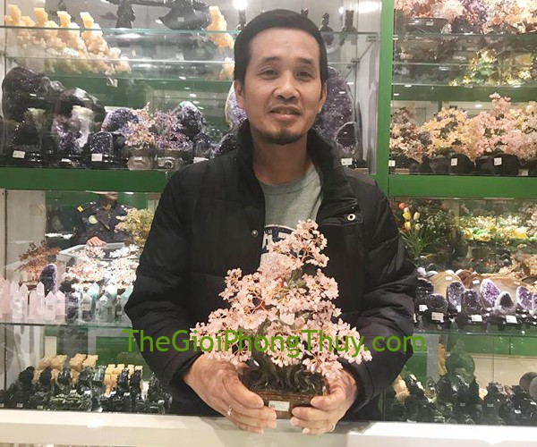 Mr Thái-Khách hàng mua Cây thạch anh hồng thân đại thụ, chậu hoàng cung FKC112.
