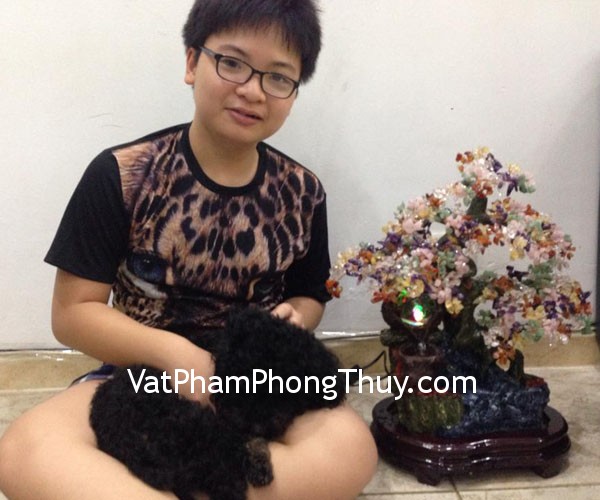 Cô Lê- khách hàng mua cây phong thủy luân nhiều màu HCA251
