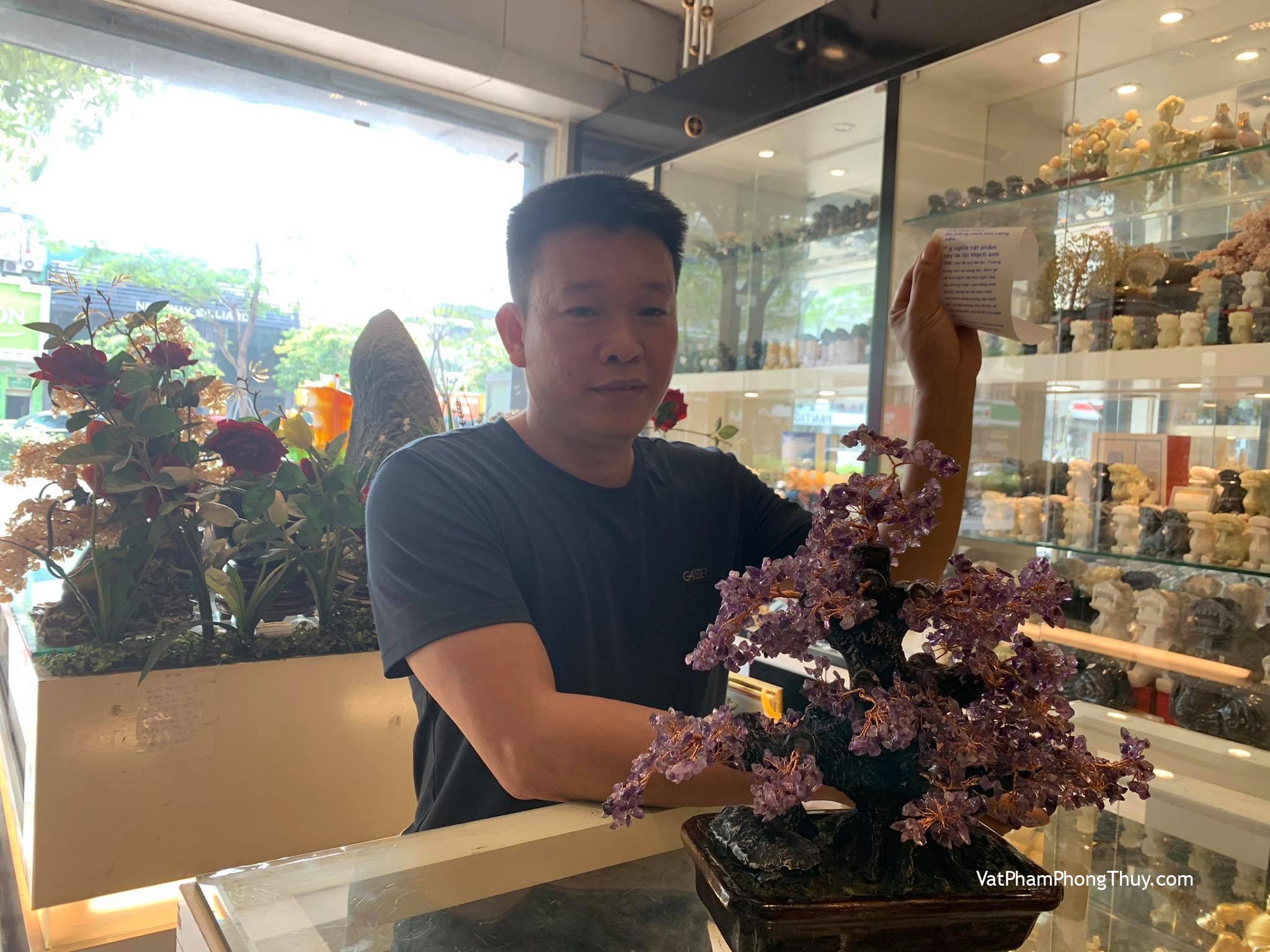 Anh Mạnh - Khách hàng mua Cây thạch anh tím lớn KC110.